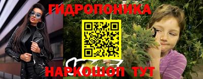 круглые Лесосибирск