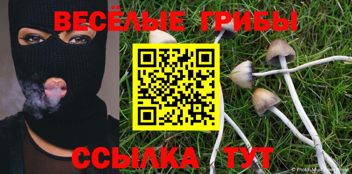 Галлюциногенные грибы мухоморы Гусев
