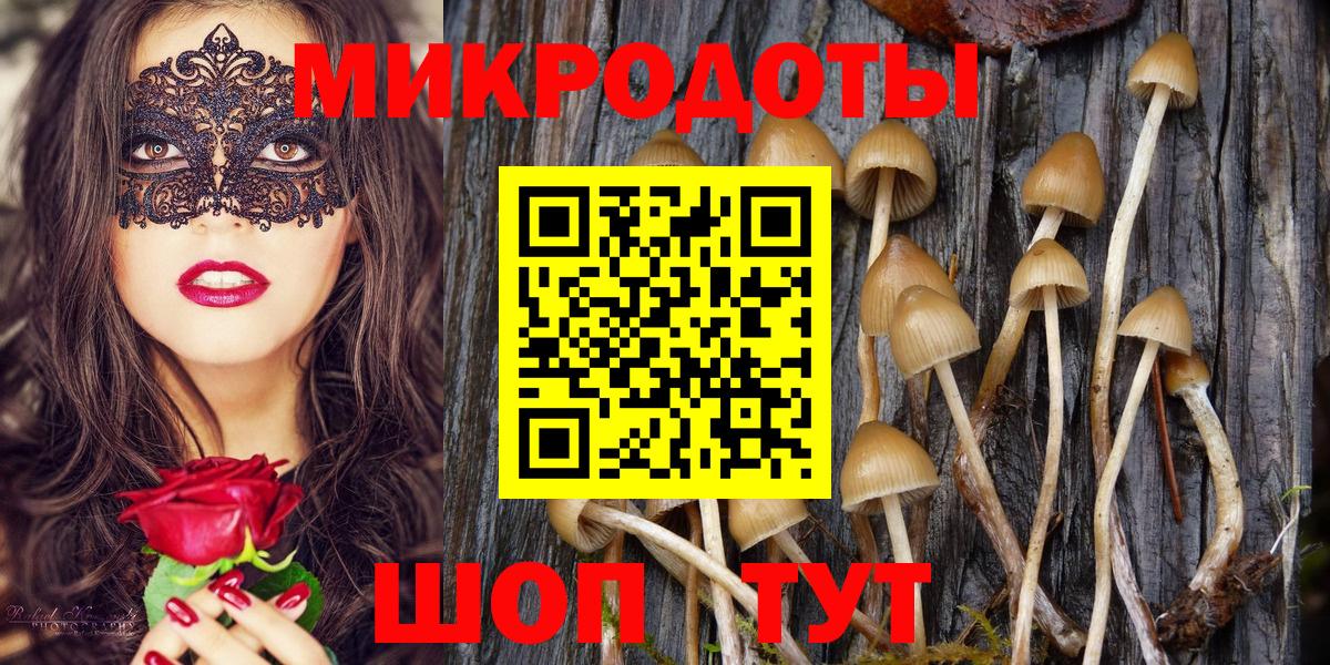 Галлюциногенные грибы Psilocybine cubensis  Вход с VPN  Гусев 